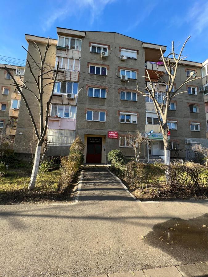 Nicola Flat Mall Arad Bagian luar foto
